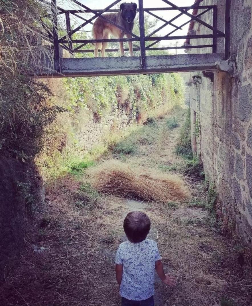 Sendim  Casa Da Moiroaヴィラ エクステリア 写真