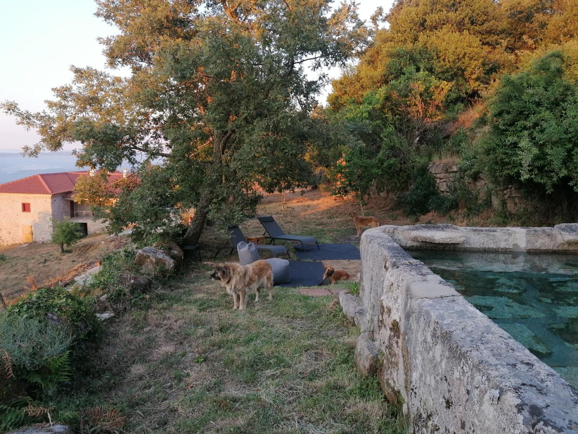 Sendim  Casa Da Moiroaヴィラ エクステリア 写真